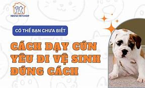 Chó Đi Qua Đi Lại