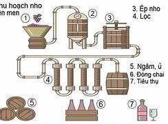 Mã Ngành Sản Xuất Rượu Thủ Công