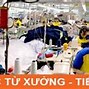 Nhân Viên Khảo Sát Thị Trường